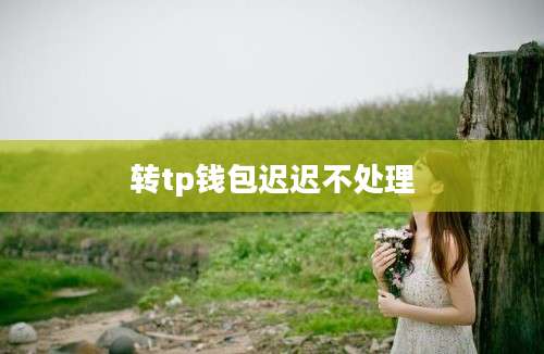 转tp钱包迟迟不处理