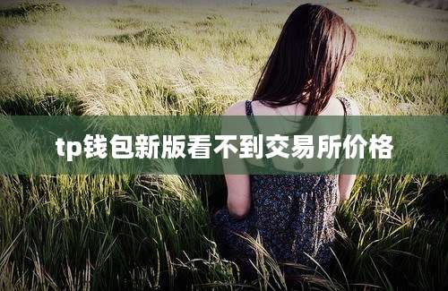 tp钱包新版看不到交易所价格