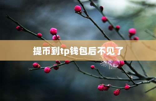 提币到tp钱包后不见了