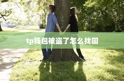 tp钱包被盗了怎么找回